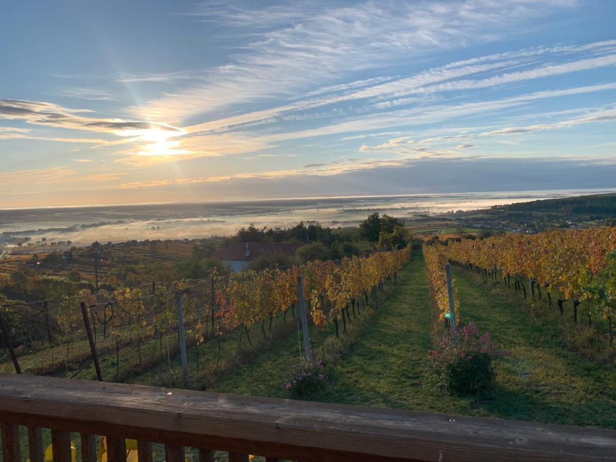 Kellerstockl Weinblick