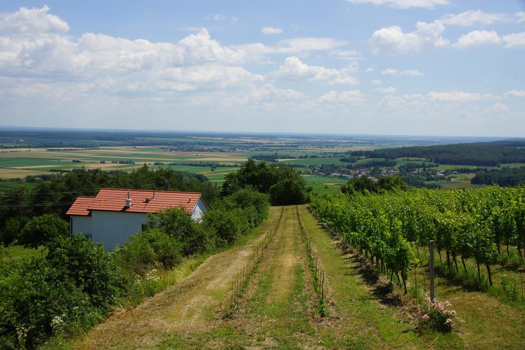 Kellerstockl Weinblick Holiday home